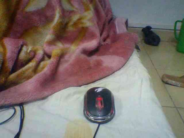 Niella1 webcam