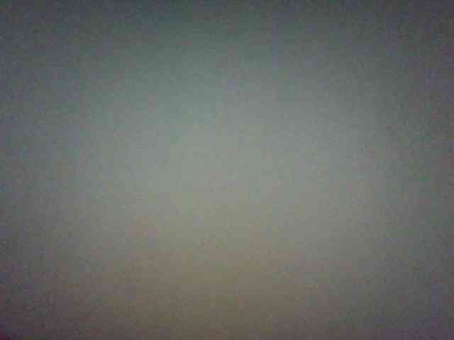 Niella1 webcam