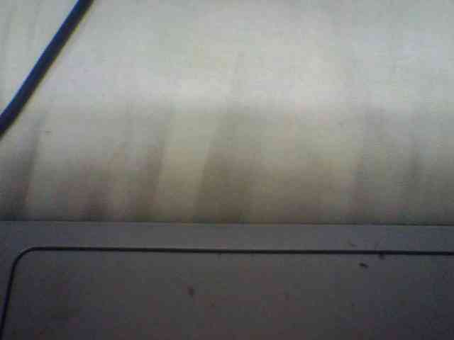 Niella1 webcam
