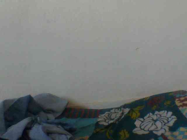 Niella1 webcam