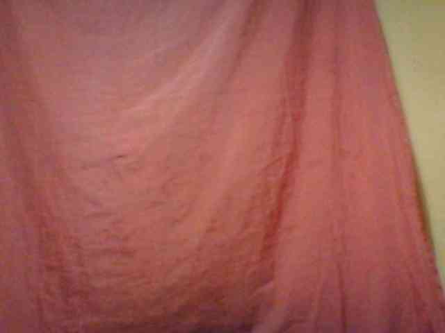 Niella1 webcam