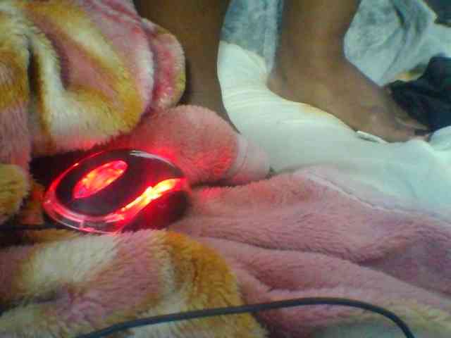 Niella1 webcam