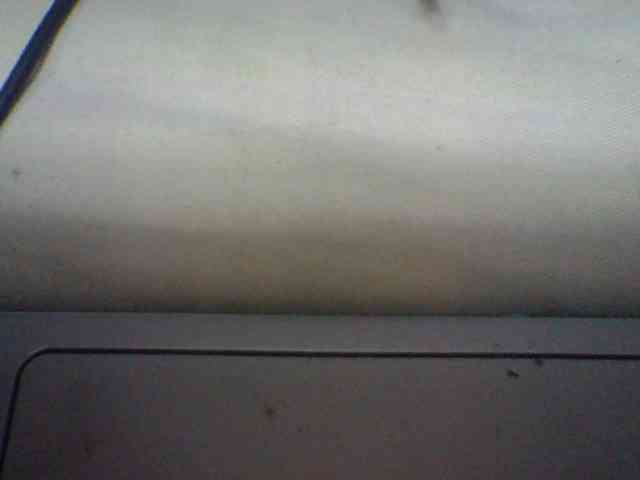 Niella1 webcam
