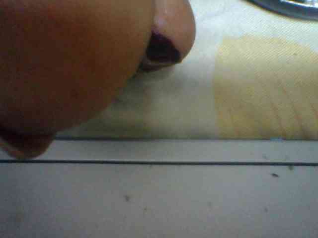 Niella1 webcam