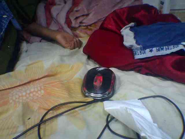 Niella1 webcam