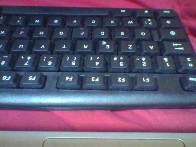 Niella1 webcam