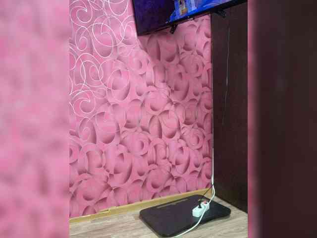 AeroDiva webcam
