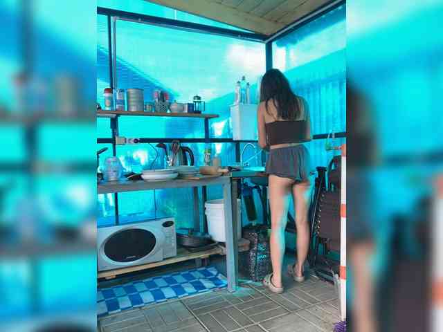 AeroDiva webcam