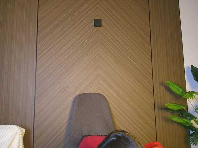 seddielin live webcam show