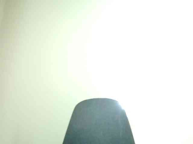 rouxinferno webcam