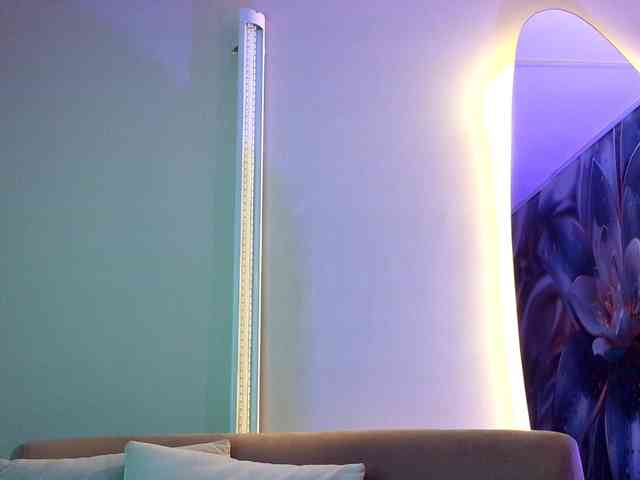 rouxinferno webcam