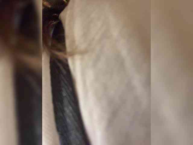 Prinsess131 webcam