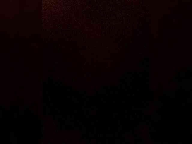 Feniz5