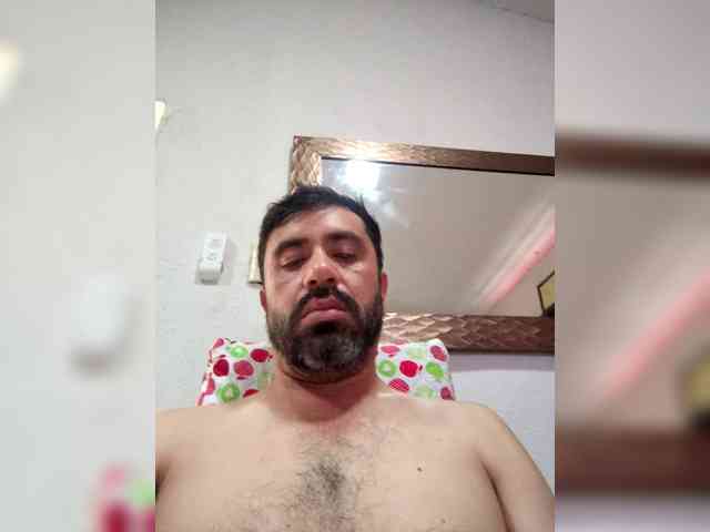 Feniz5 Feniz5