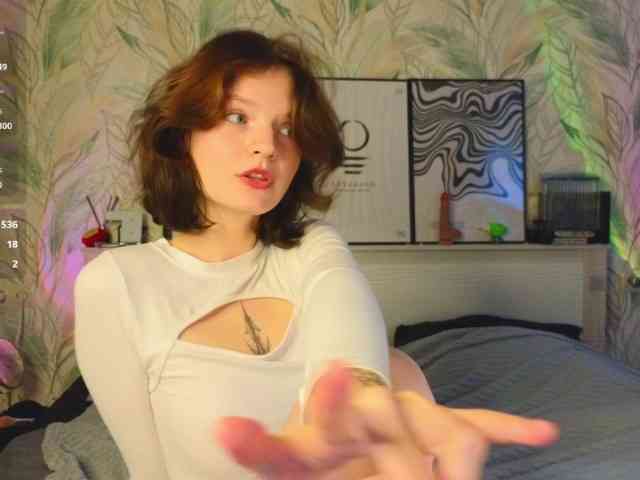 Модель: LikaSky