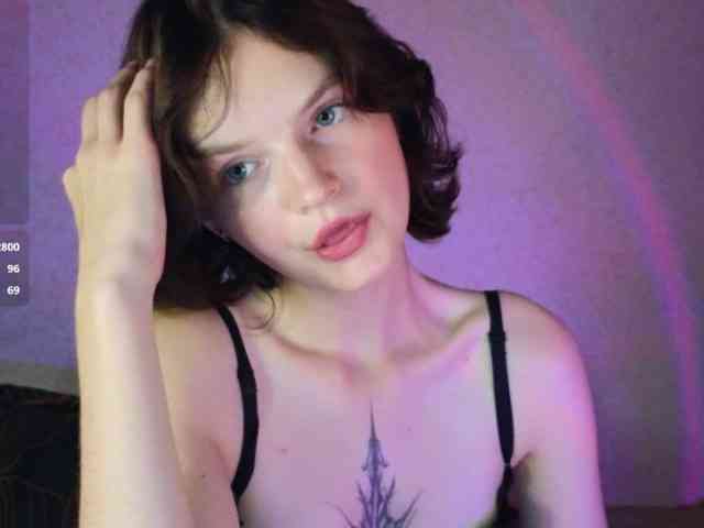 Модель: LikaSky