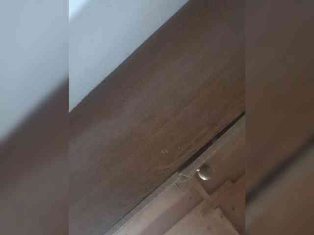 Trundax webcam