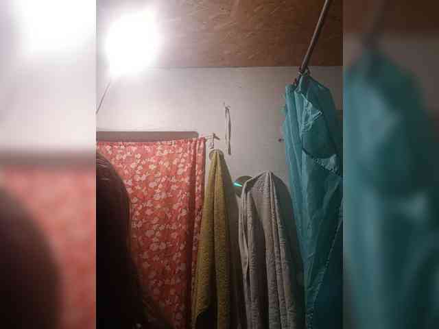 Trundax webcam