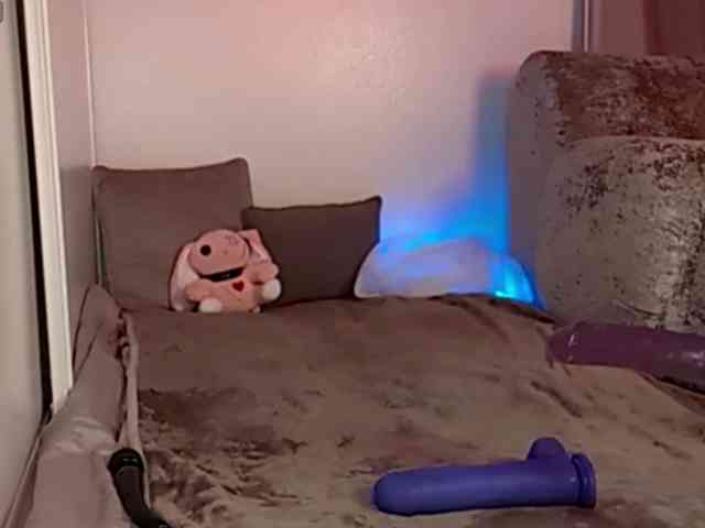 ElyeRoss webcam