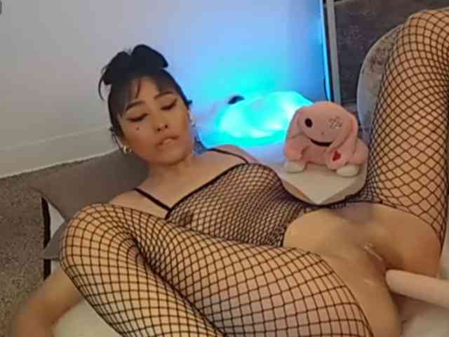 Modelo: ElyeRoss