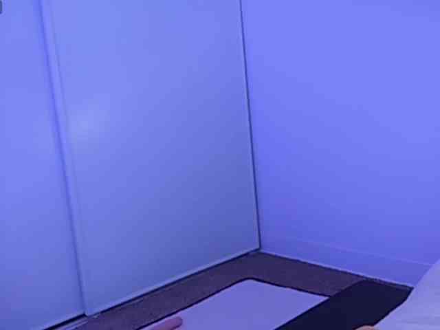 ElyeRoss webcam