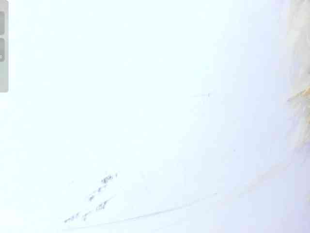 yasmin-dina webcam