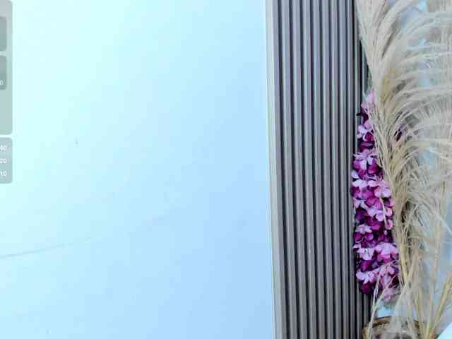yasmin-dina webcam