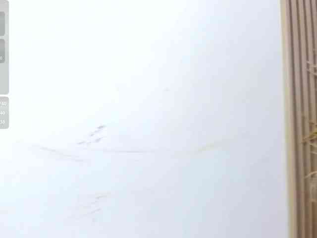 yasmin-dina webcam