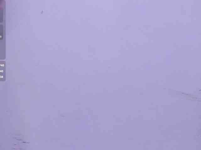 yasmin-dina webcam