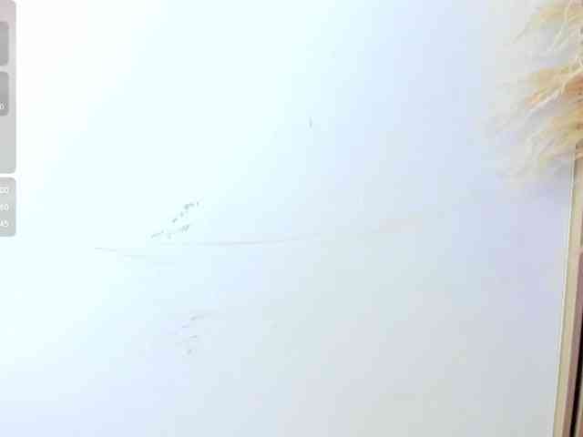 yasmin-dina webcam