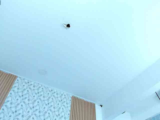 Malika-Noor webcam