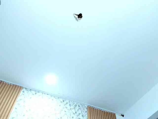 Malika-Noor webcam