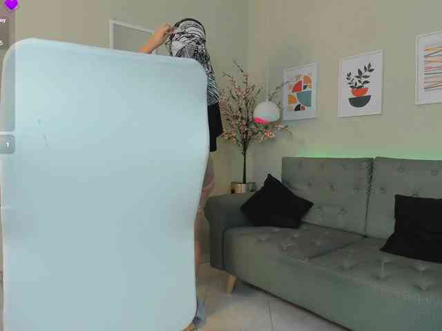 zaid-habibi webcam