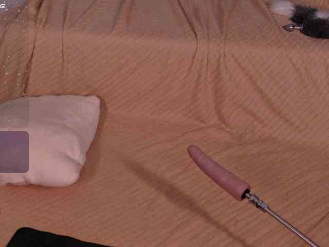 Zarrazaxx webcam