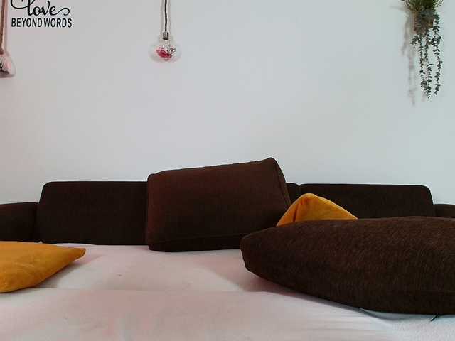 Sens-Lexxa