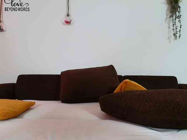 Sens-Lexxa webcam