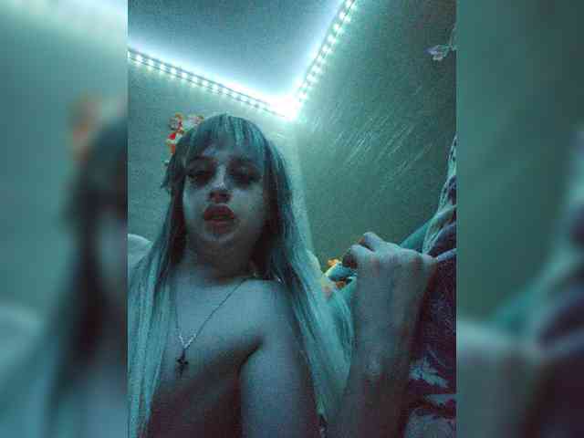 Bladis4