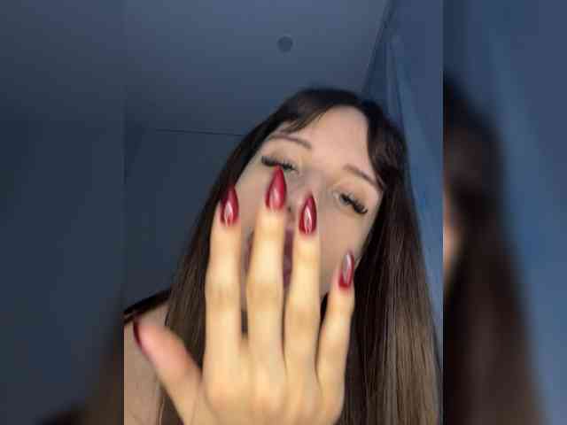 Bladis4