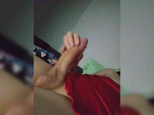 Bladis4