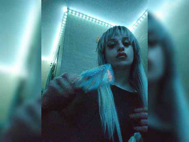 Bladis4