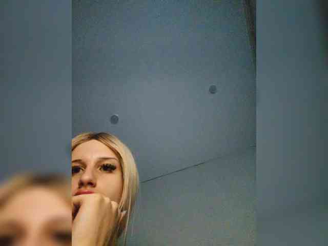 Bladis4