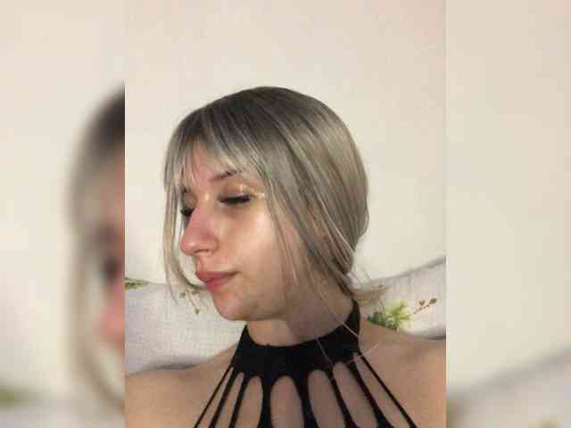 Bladis4