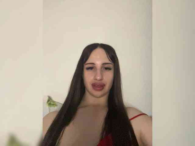 Bladis4
