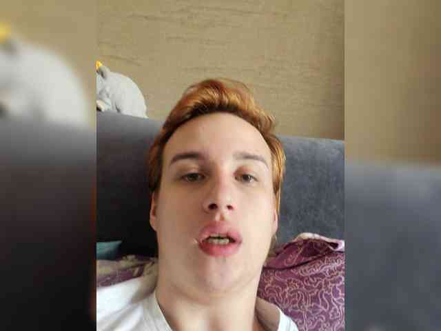 Bladis4