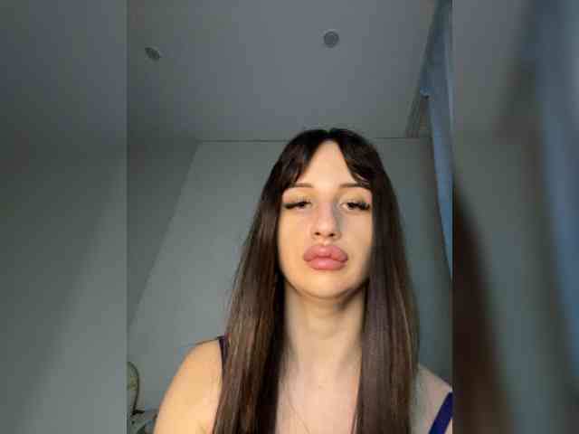 Bladis4