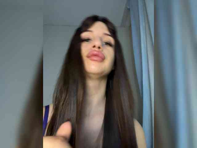 Bladis4