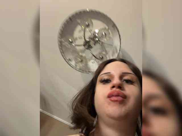 Bladis4
