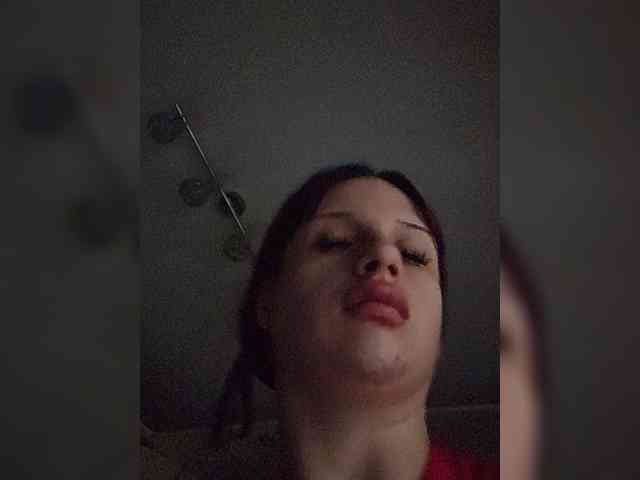 Bladis4