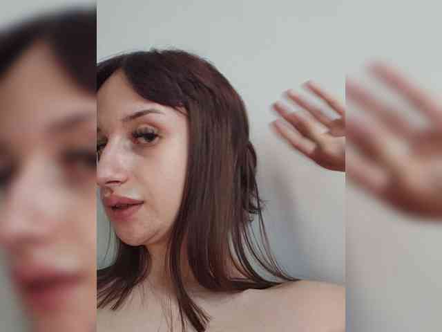 Bladis4