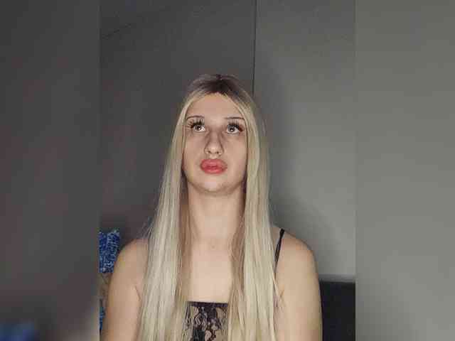 Bladis4